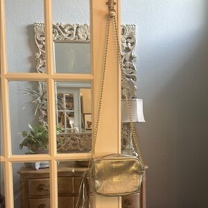 Silver Victoria Secret Gold Chain Crossbody Bag